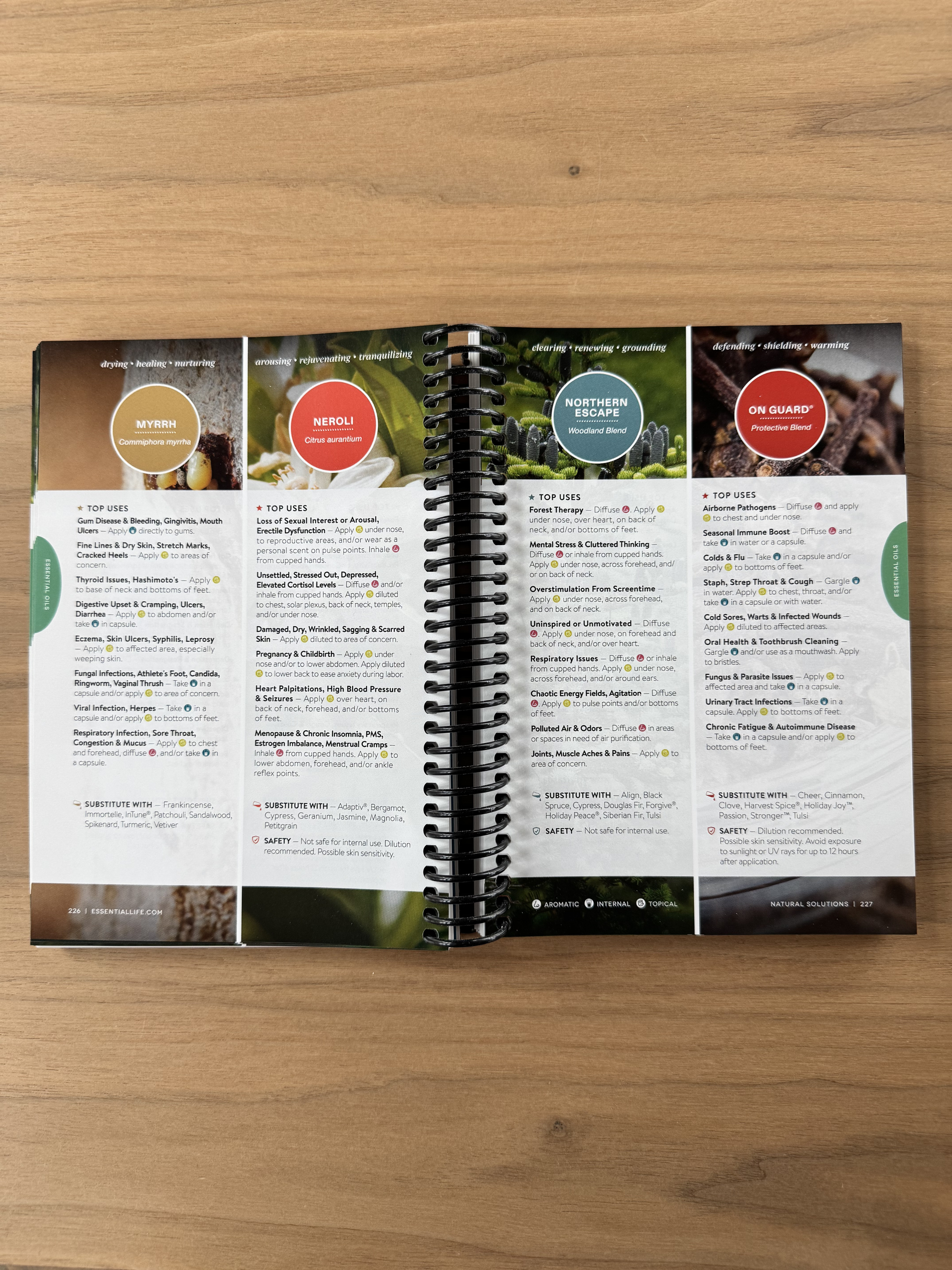 Essential Life Basics Guide