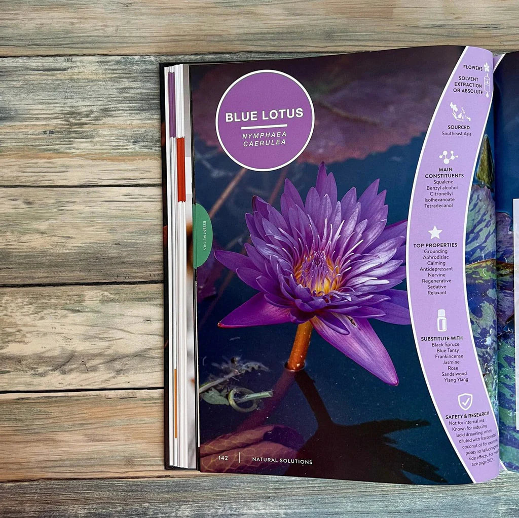 Essential Life 10th Edition